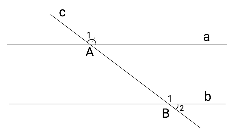 Hình minh họa đề bài 6